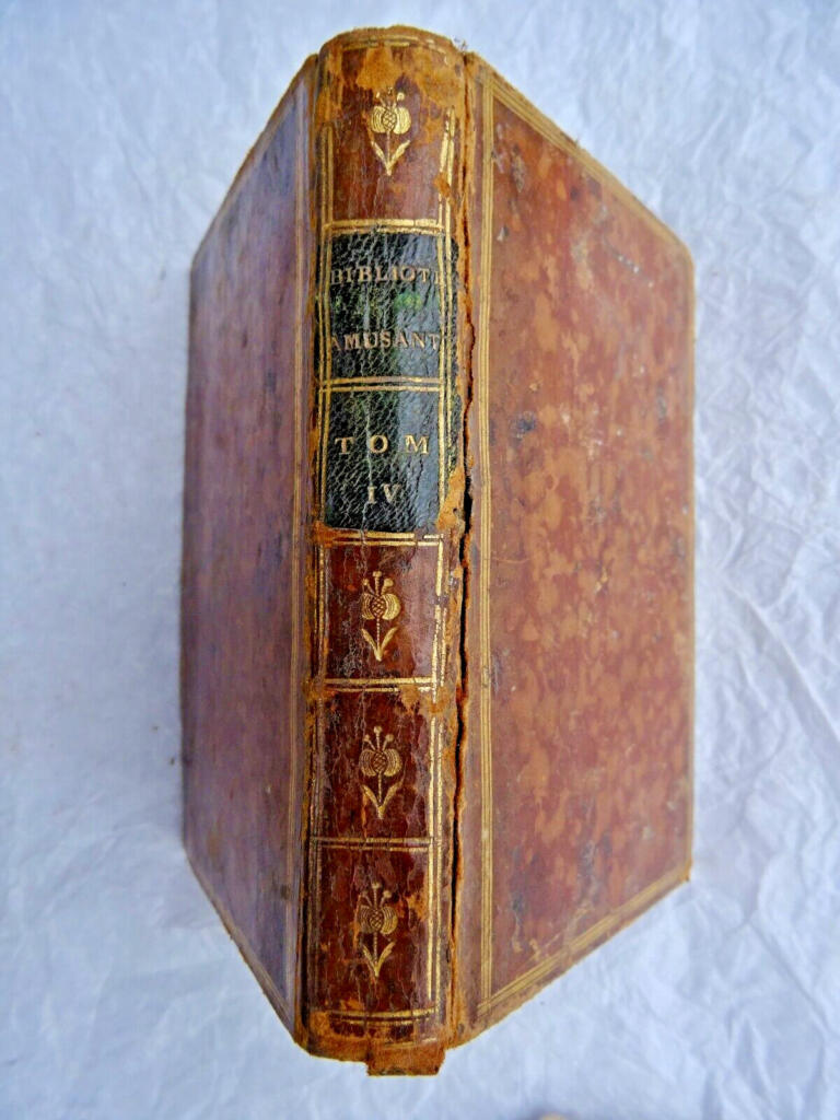 Memoiren des Chevalier de Ravanne, königliche Page und Musketier