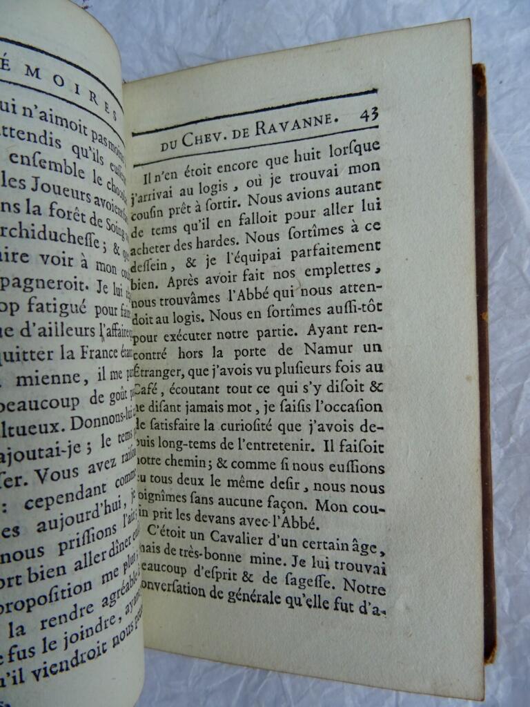 Memoiren eines Hofpage