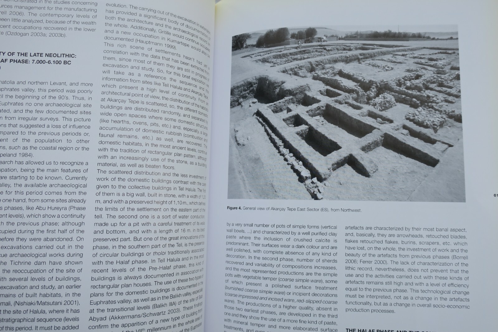 MENMED. From the adoption of Agriculture to the Current Landscape: long term.. – Image 7