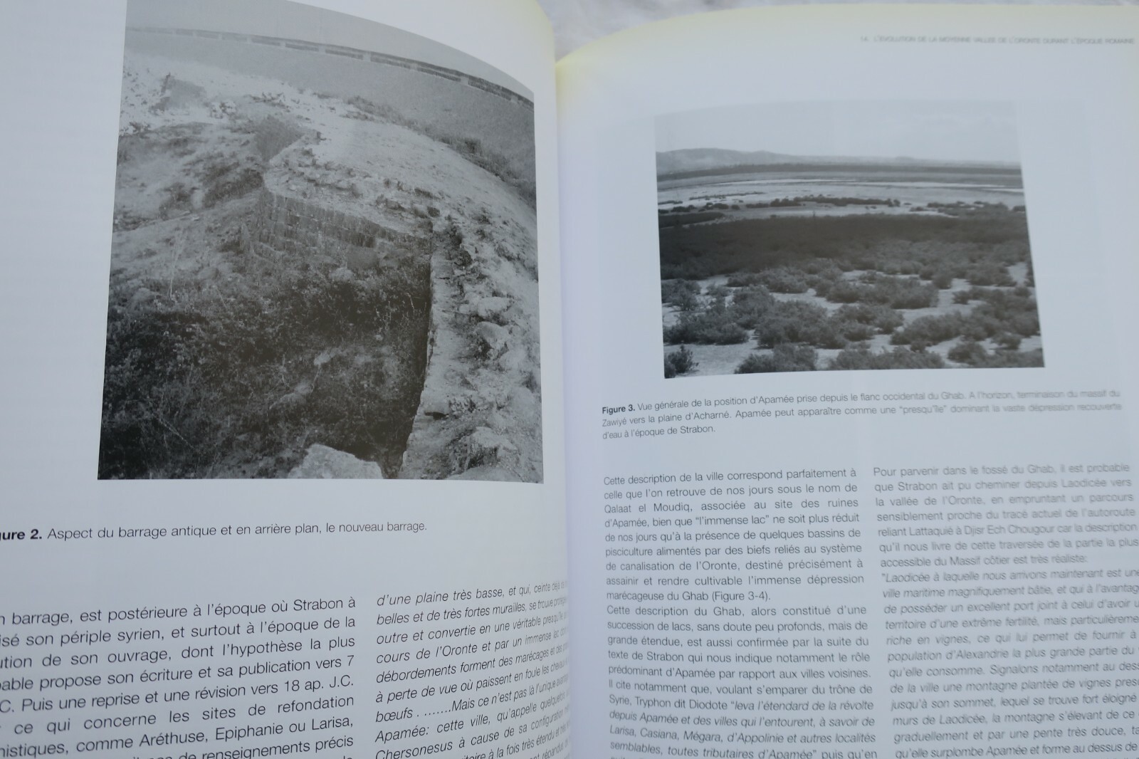 MENMED. From the adoption of Agriculture to the Current Landscape: long term.. – Image 4