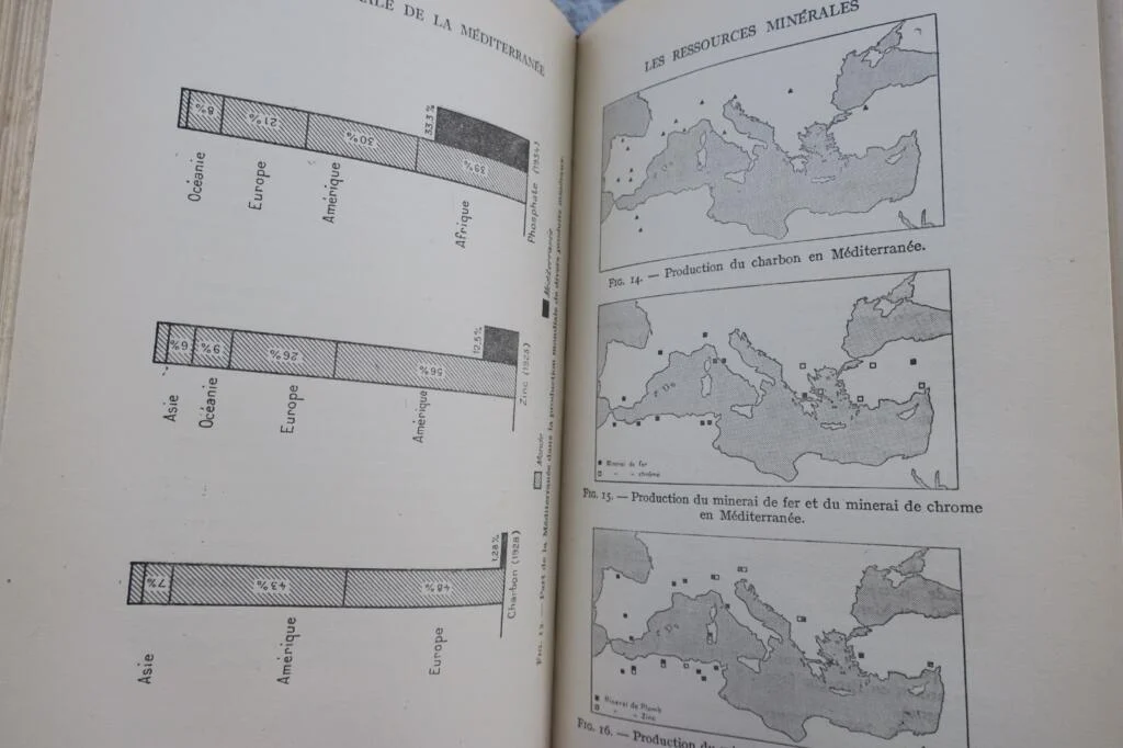 地中海の概要