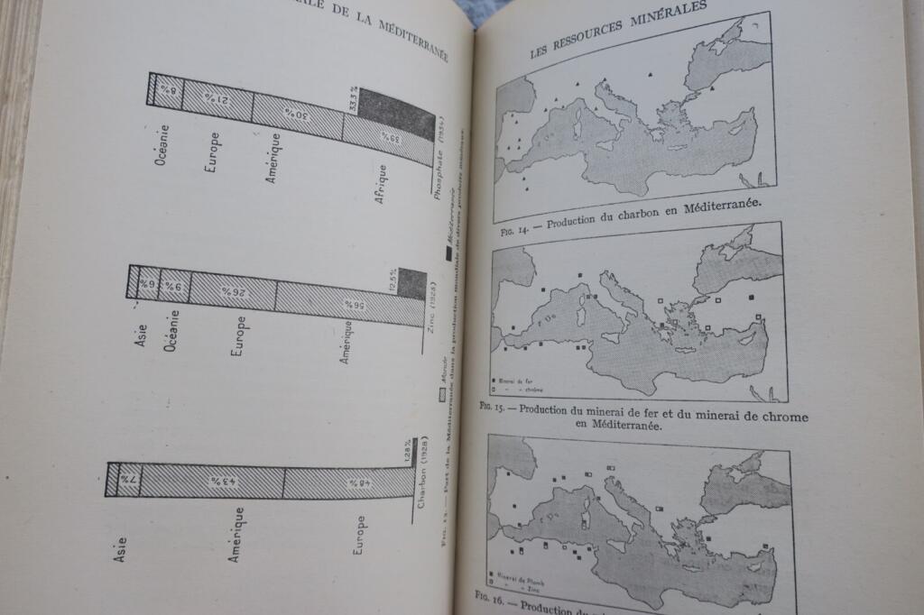 Overview of the Mediterranean Sea NRF