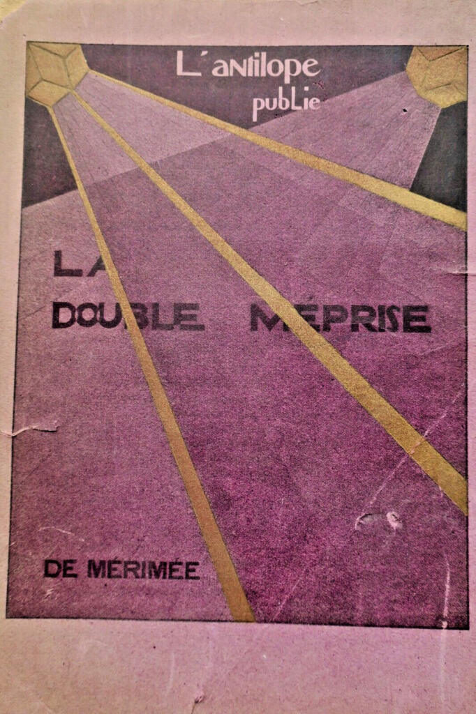 The Double Mistake - Illustrated Edition