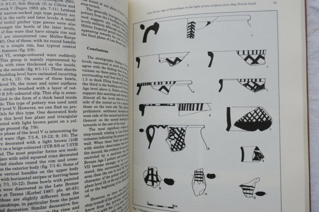 Neubewertung von Mersin-yumuktepe