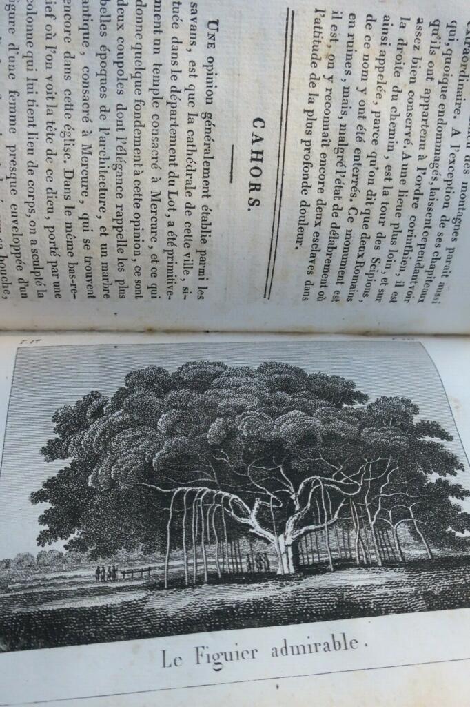 Marvels of Nature and Human Craftsmanship (1829)