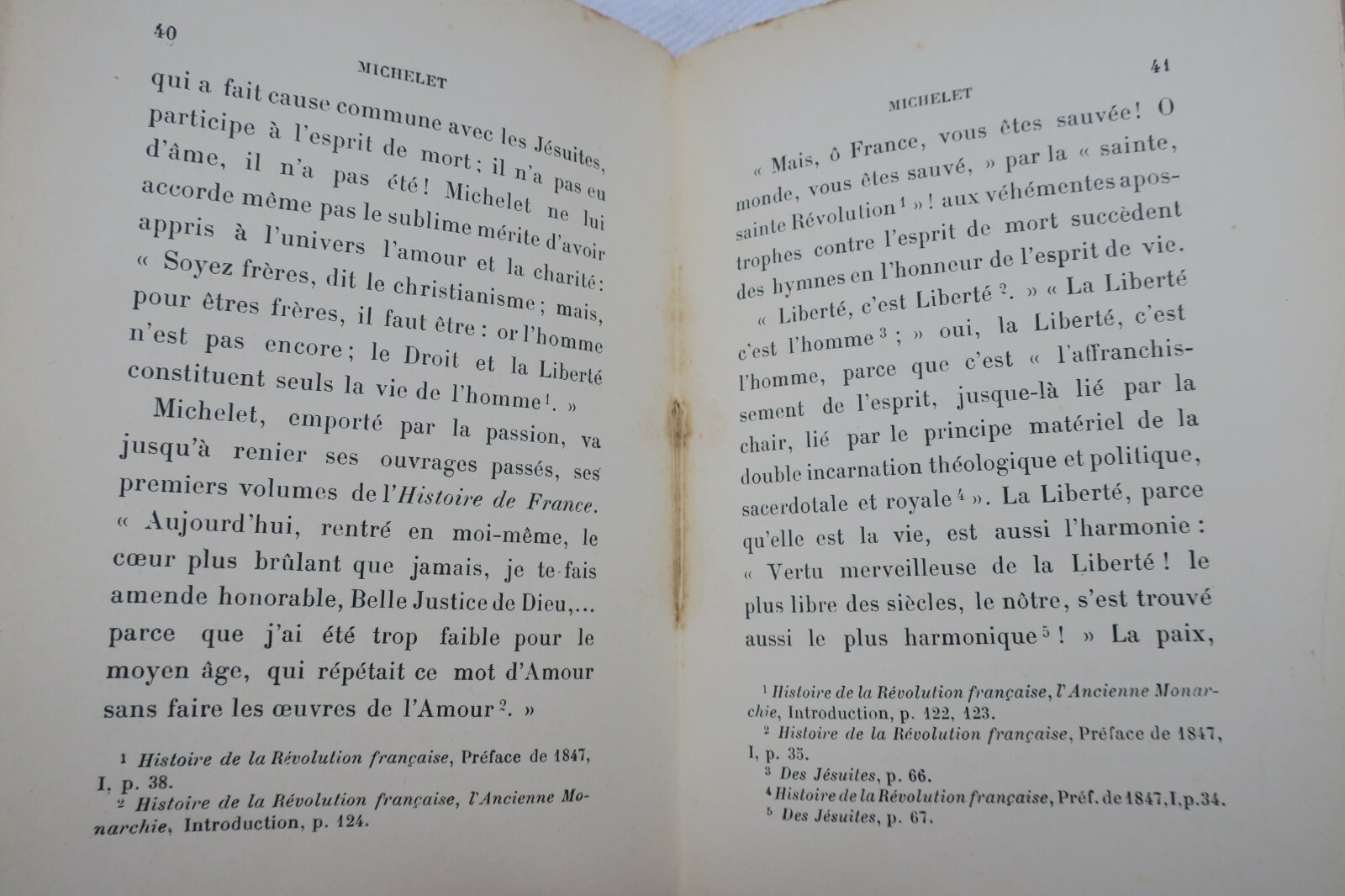 MICHELET BRUNHES 1898 - La Librairie Antique