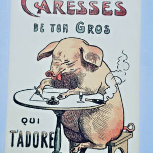 mille caresses de ton gros qui t'adore