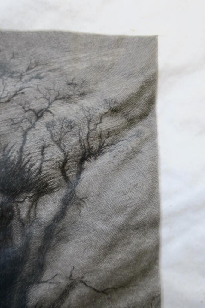 Fine Etching on Paper