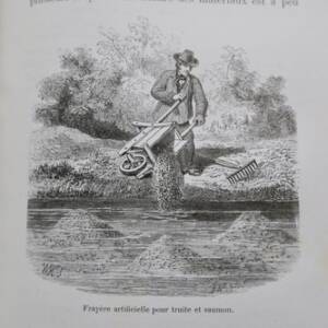 C. Milletの水の栽培