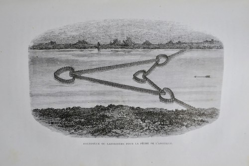 Water Cultivation by C. Millet - Image 7