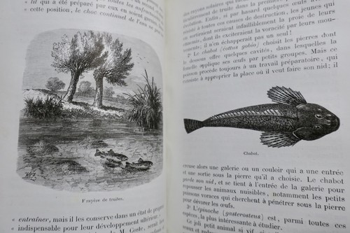 Water Cultivation by C. Millet - Image 6