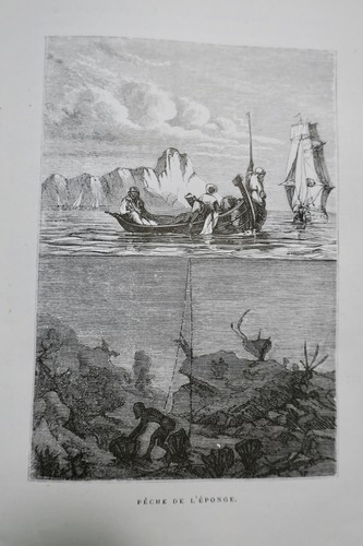 Water Cultivation by C. Millet - Image 3