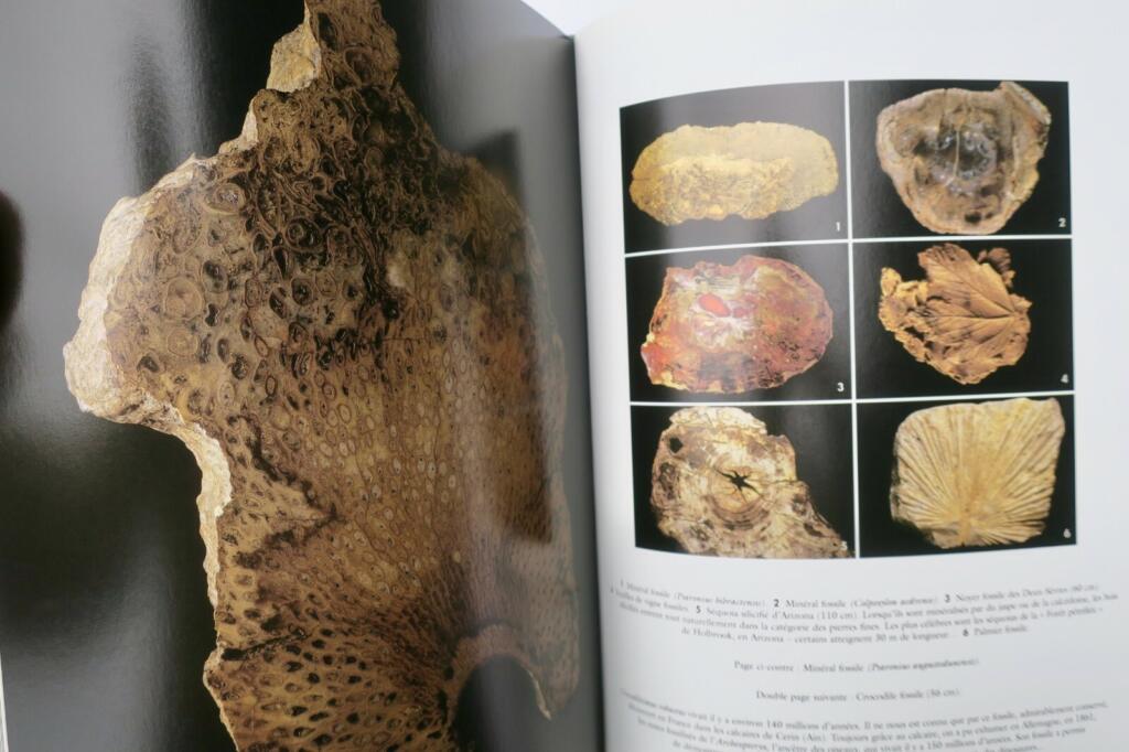 Global mineral specimens and geological diversity