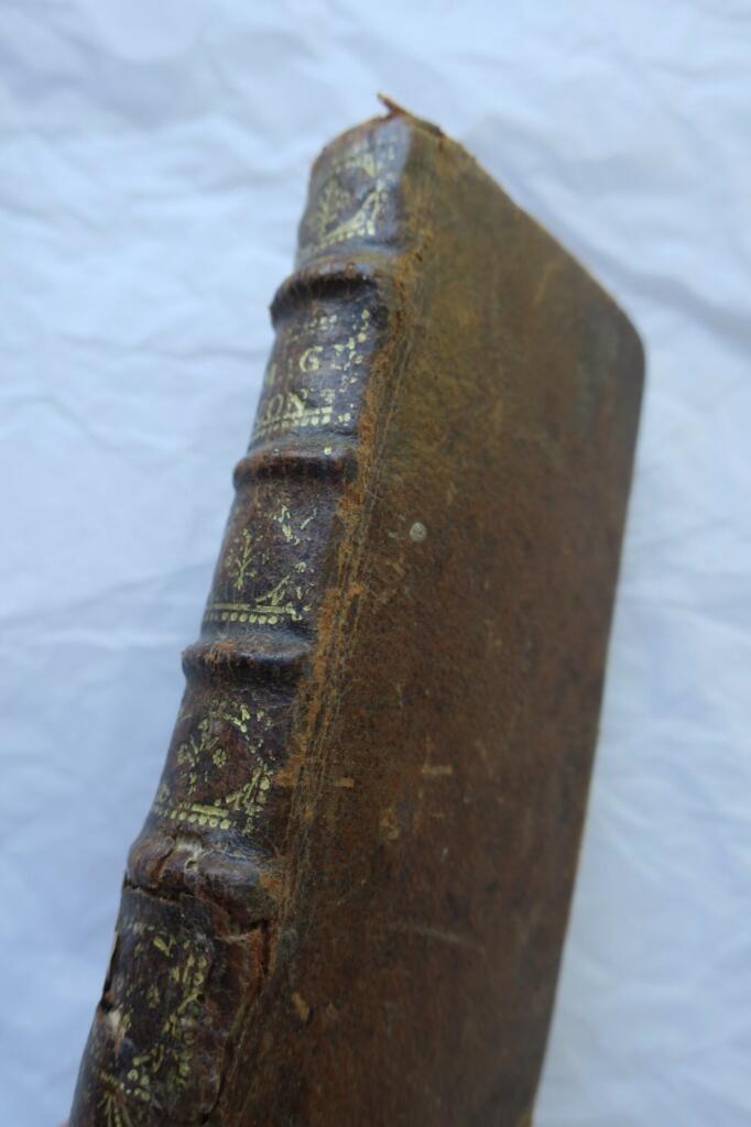 Scheinbare Widersprüche der Heiligen Schrift