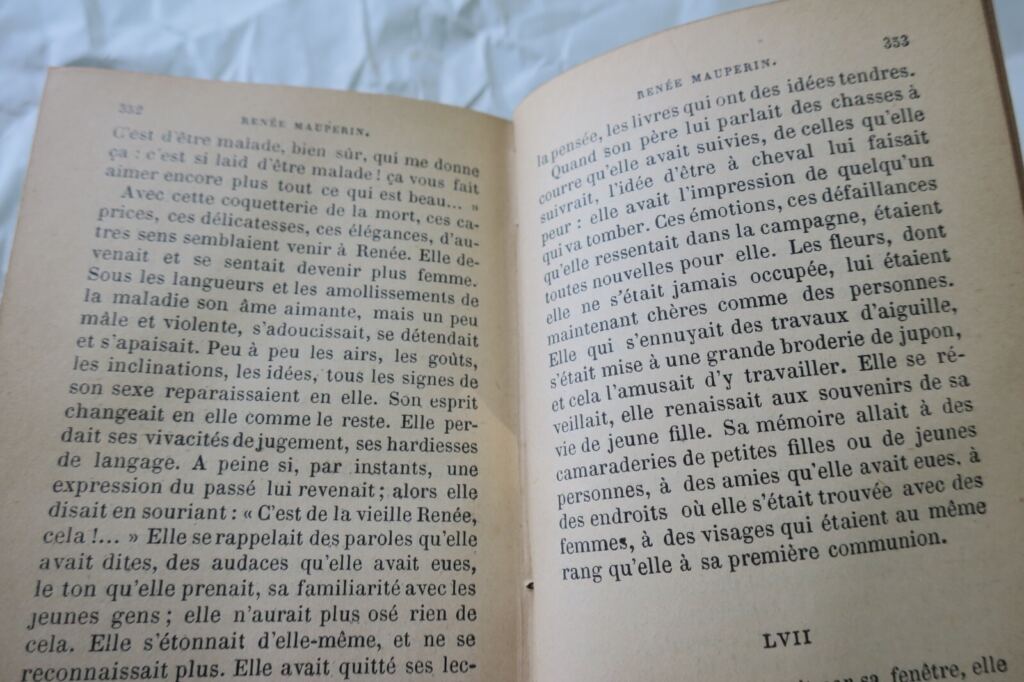 Ein klassisches Werk der französischen Literatur