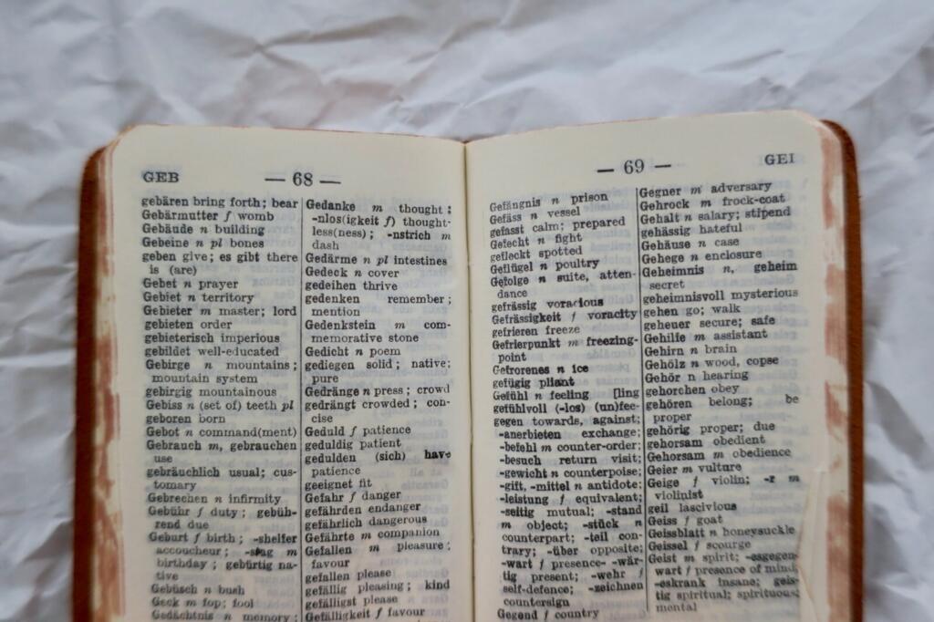 Mini Travellers dictionaries English, german, Italian, french, spanish 60x80mm.