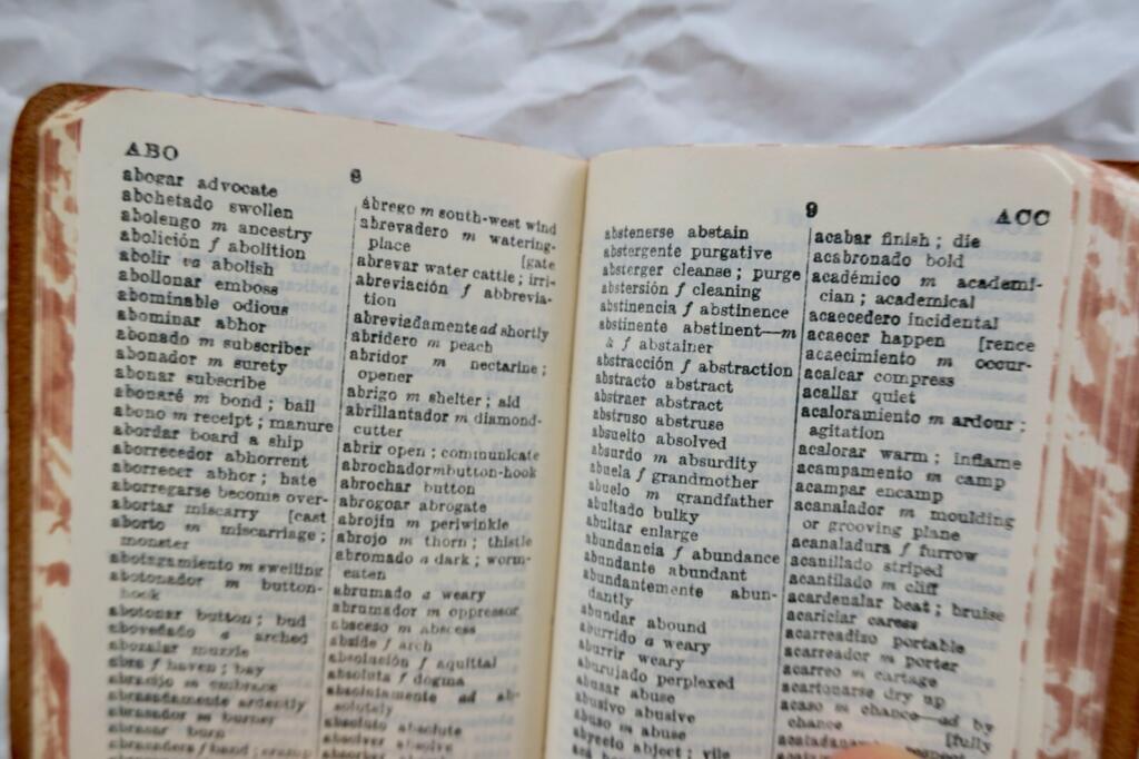 Mini Travellers dictionaries English, german, Italian, french, spanish 60x80mm.