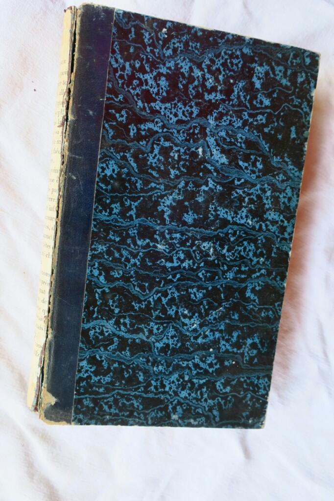 Discourses and Opinions of Mirabeau