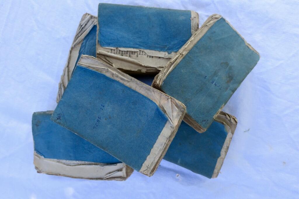 Letters from a French Revolutionary
