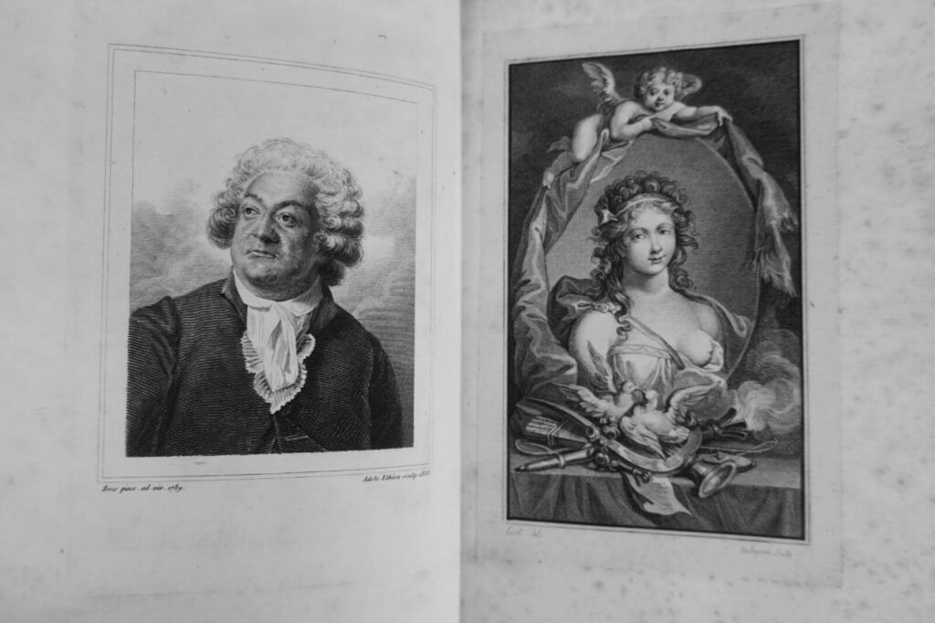 Briefe an Sophie von Mirabeau