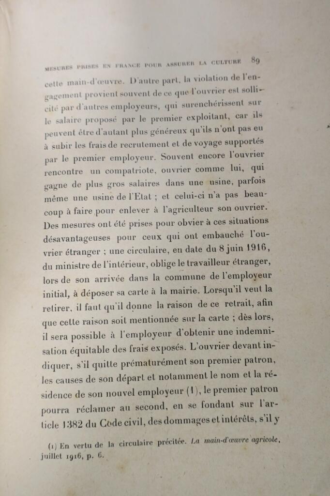 mise en culture des terres pendant la guerre 1917