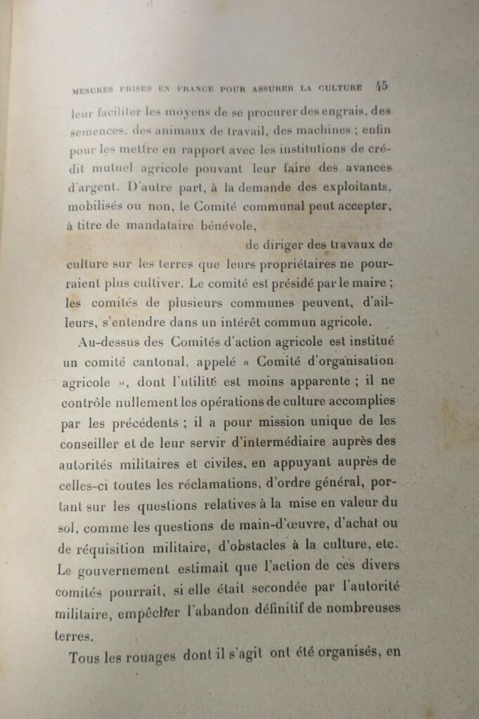 mise en culture des terres pendant la guerre 1917