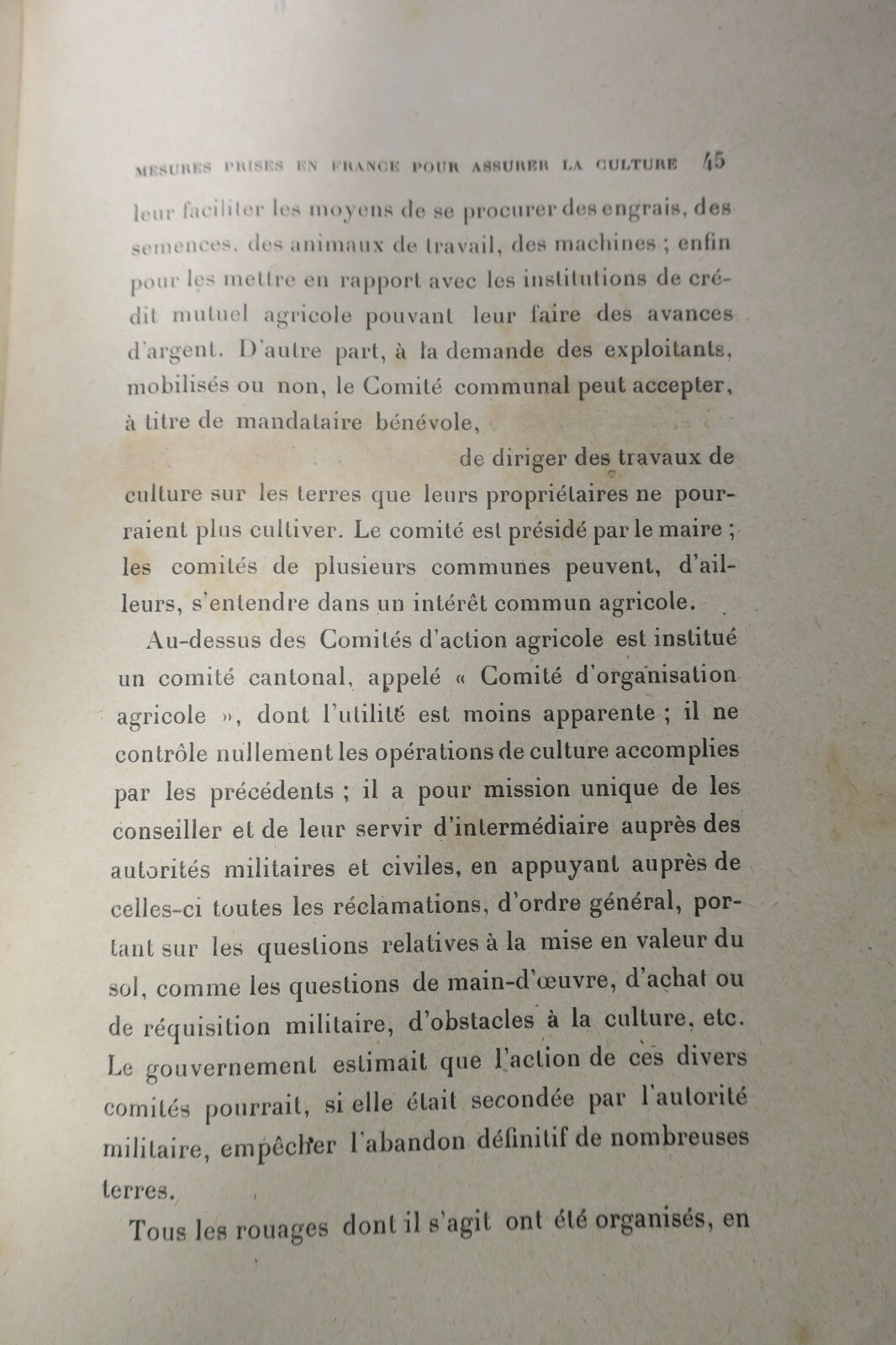 Agricultural practices during wartime - Image 4