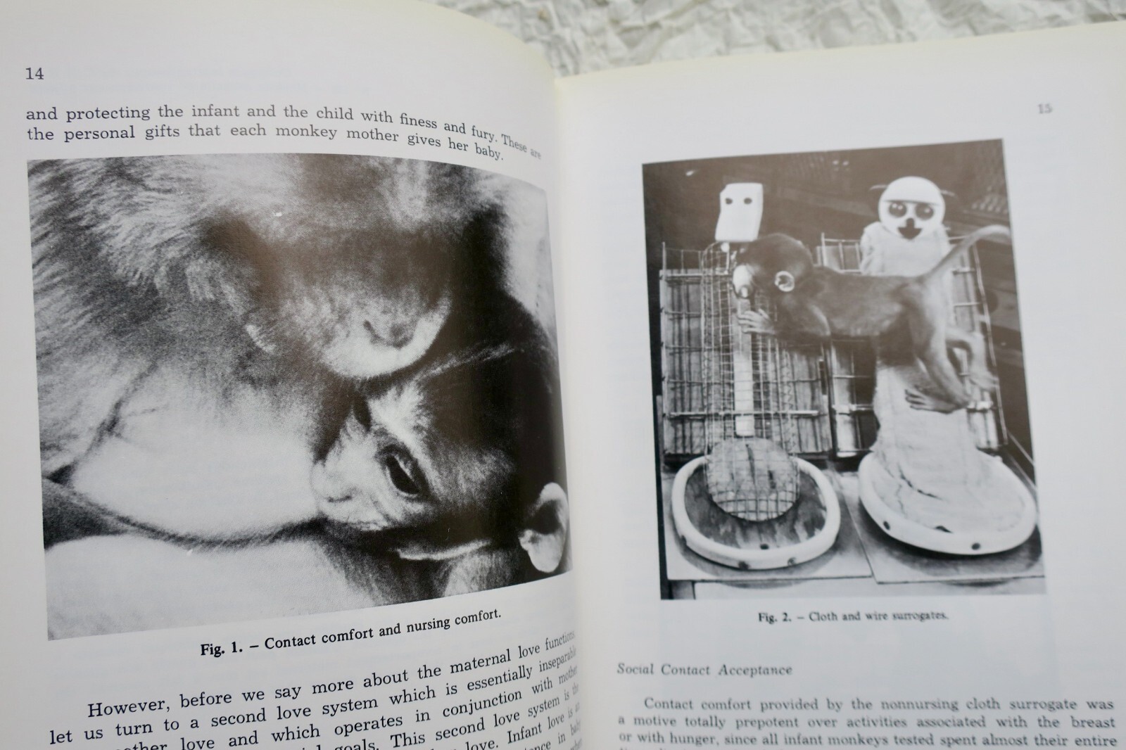 Erforschung von Tiermodellen - Image 6