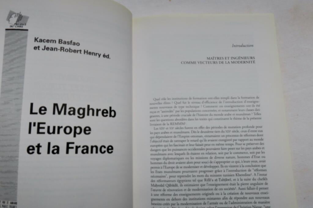 Arabische und Türkische Modernitäten