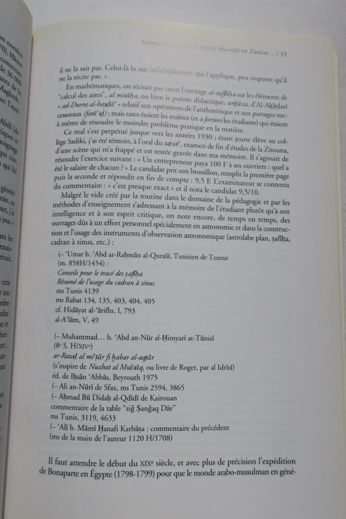 Arabische und Türkische Modernitäten