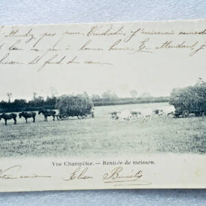 Moisson vue champêtre rentrée de moisson 1904