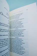 Complete Works of Molière in Luxury Edition - Image 8
