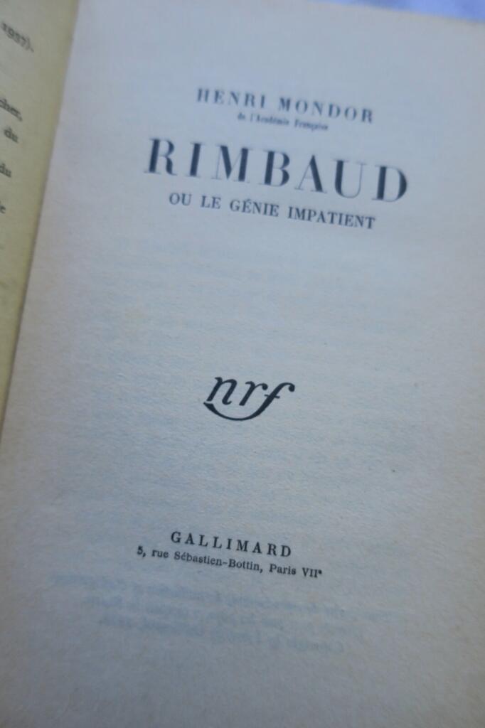 Ein Einblick in Rimbauds Genie