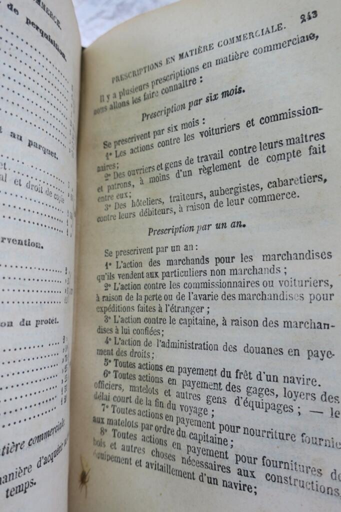 MONITEUR DES FRANCAIS OU EXPLICATION DES LOIS CIVILES et commerciales 1869