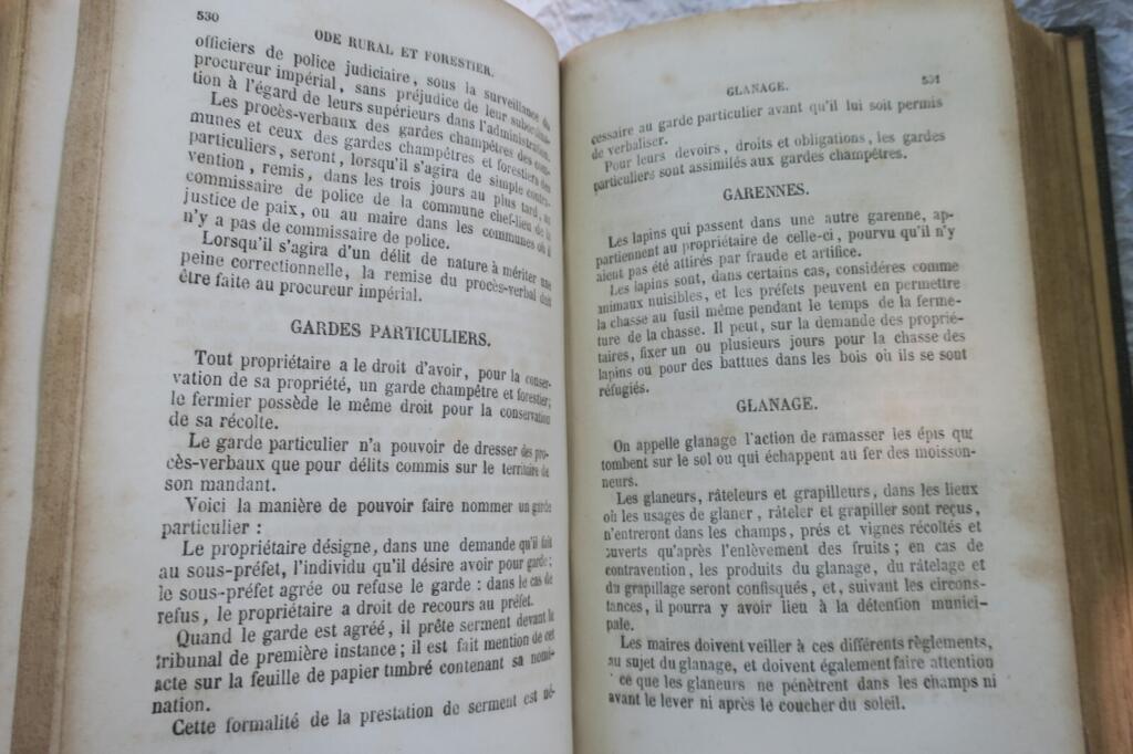 MONITEUR DES FRANCAIS OU EXPLICATION DES LOIS CIVILES et commerciales 1869