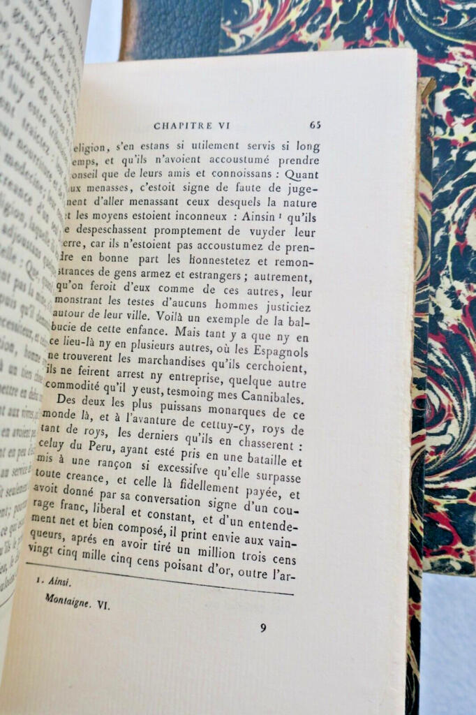 Montaigne's Philosophical Meditations