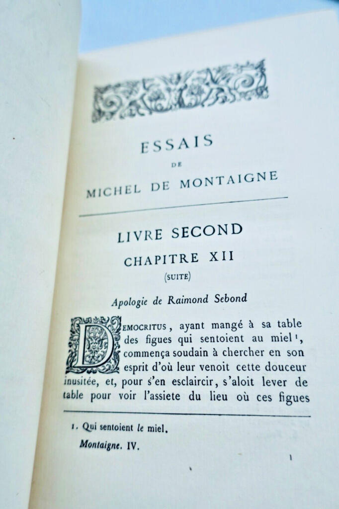 Montaigne's Philosophical Meditations