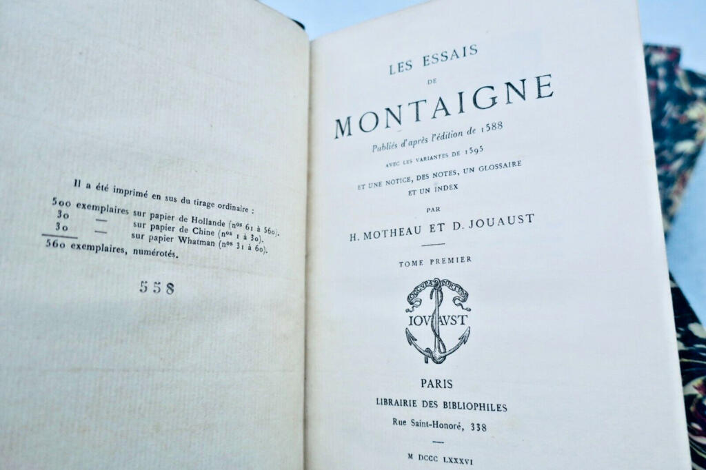 Montaigne's Philosophical Meditations