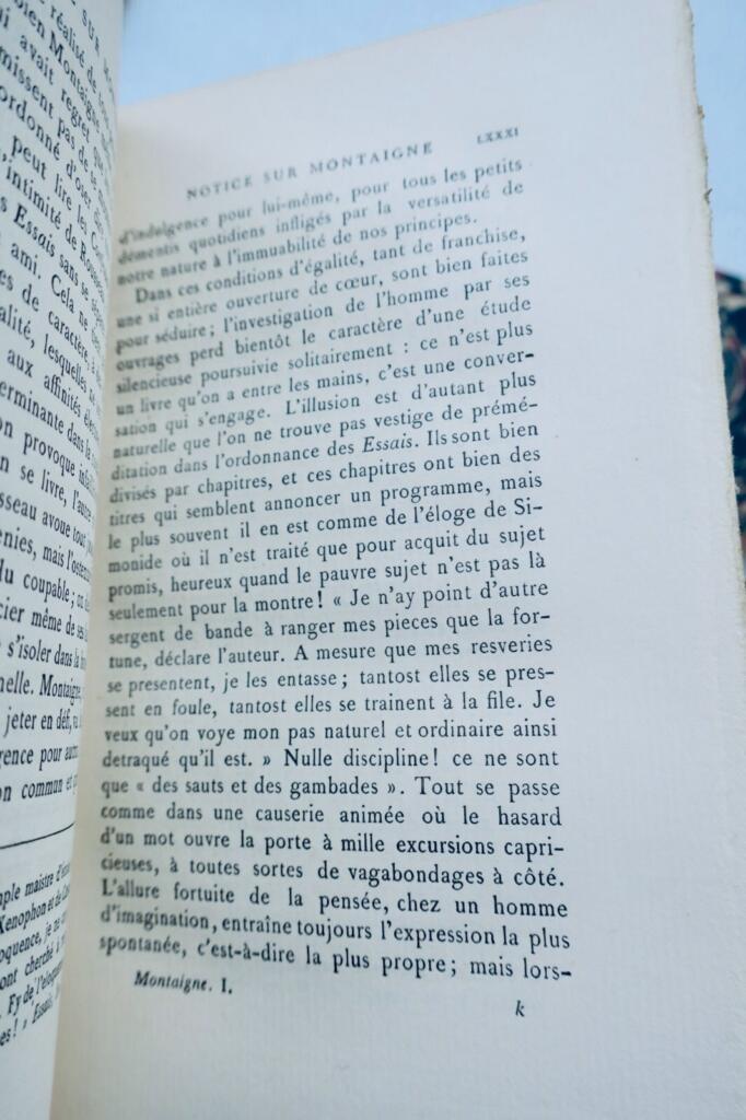 Montaigne's Philosophical Meditations
