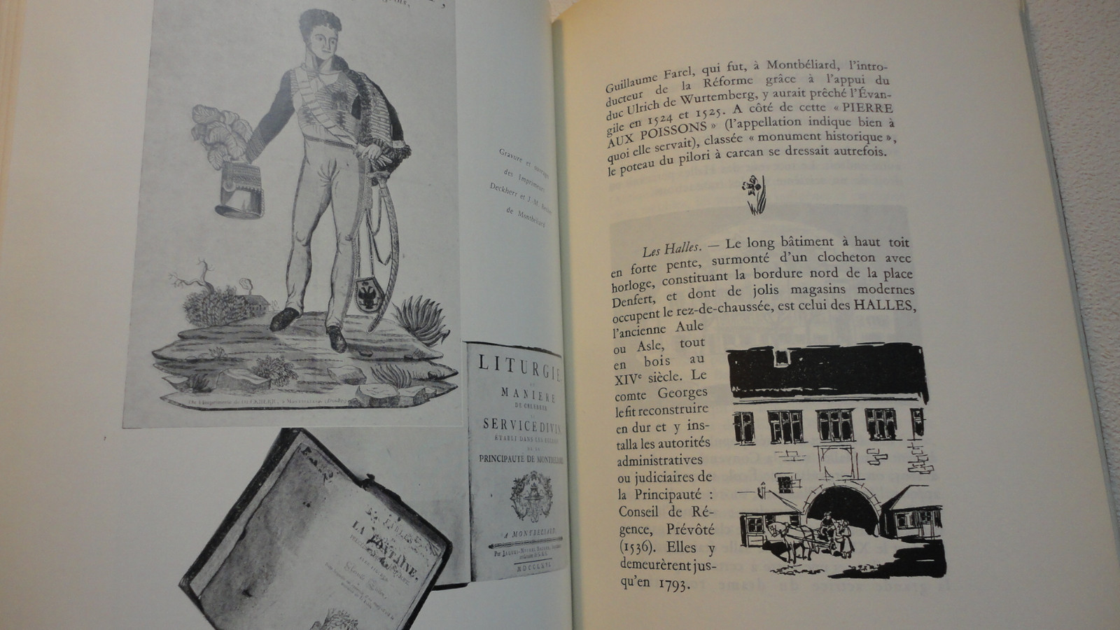 Das Land von Montbéliard<span class="lla-card-orig-wrap"><span class="lla-card-orig">❦ Montbéliard RENARD Le pays de montbéliard + dédicace</span></span> - La Librairie Antique