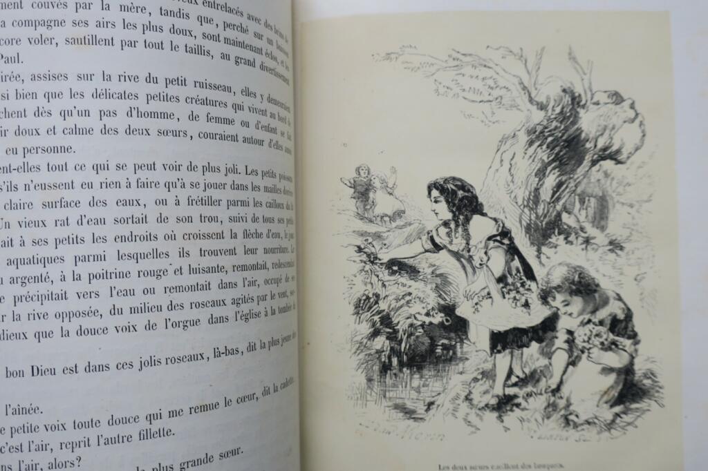 Games and visual lessons for children