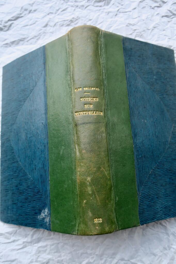 Übersicht über Montpellier (1818)