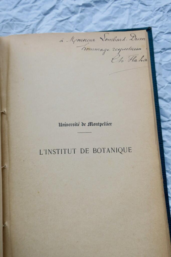 Übersicht über Montpellier (1818)