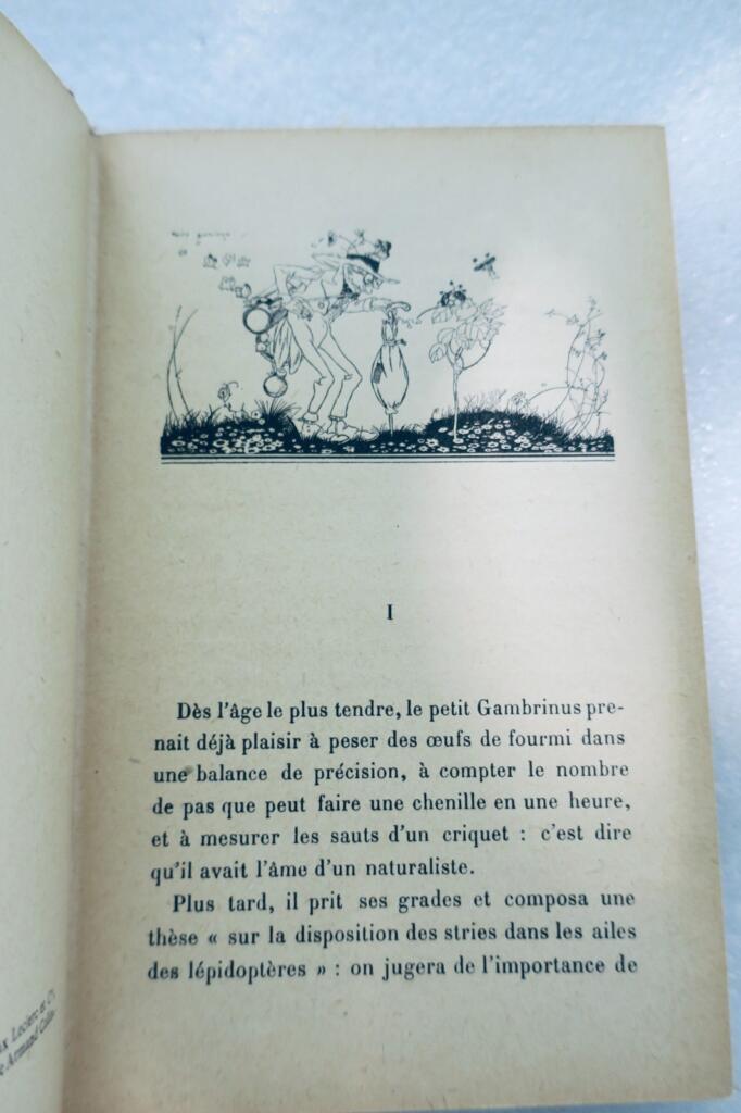 MOREL MAURICE. PETITE JUNGLE Illustrations de Félix Lorioux 1928