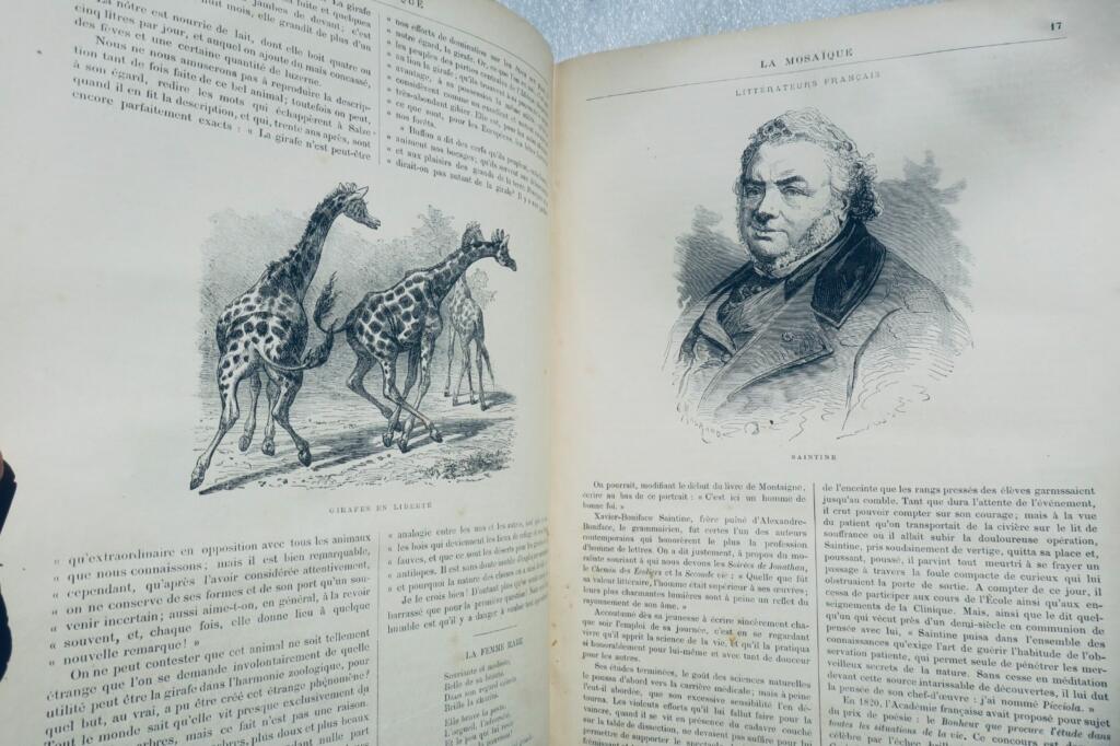 Mosaïque – Illustrierte pittoreske Revue – 1. und 2. Jahrgang