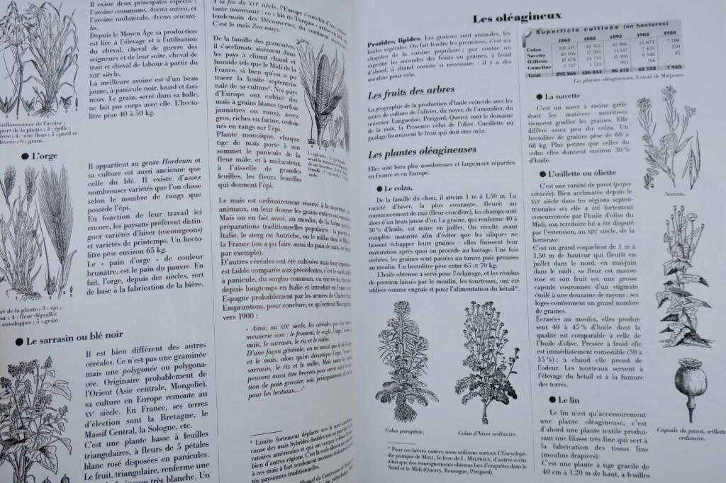 Untersuchung von Mühlentechniken und sozialer Symbolik