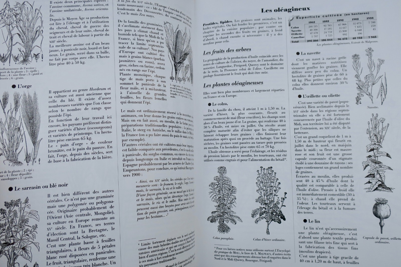 Exploring milling techniques and social symbolism - Image 8