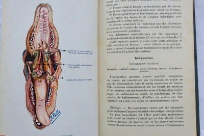 羊の病気 – Image 11