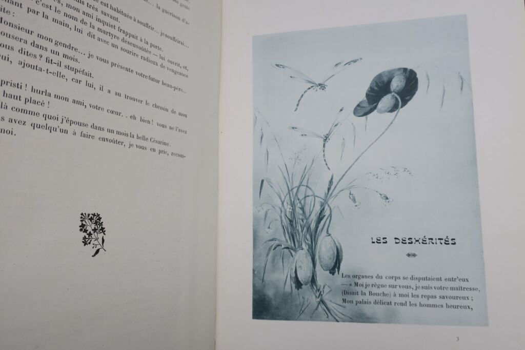 MUSE GAILLARDE. Illustrations de JAPHET 1905