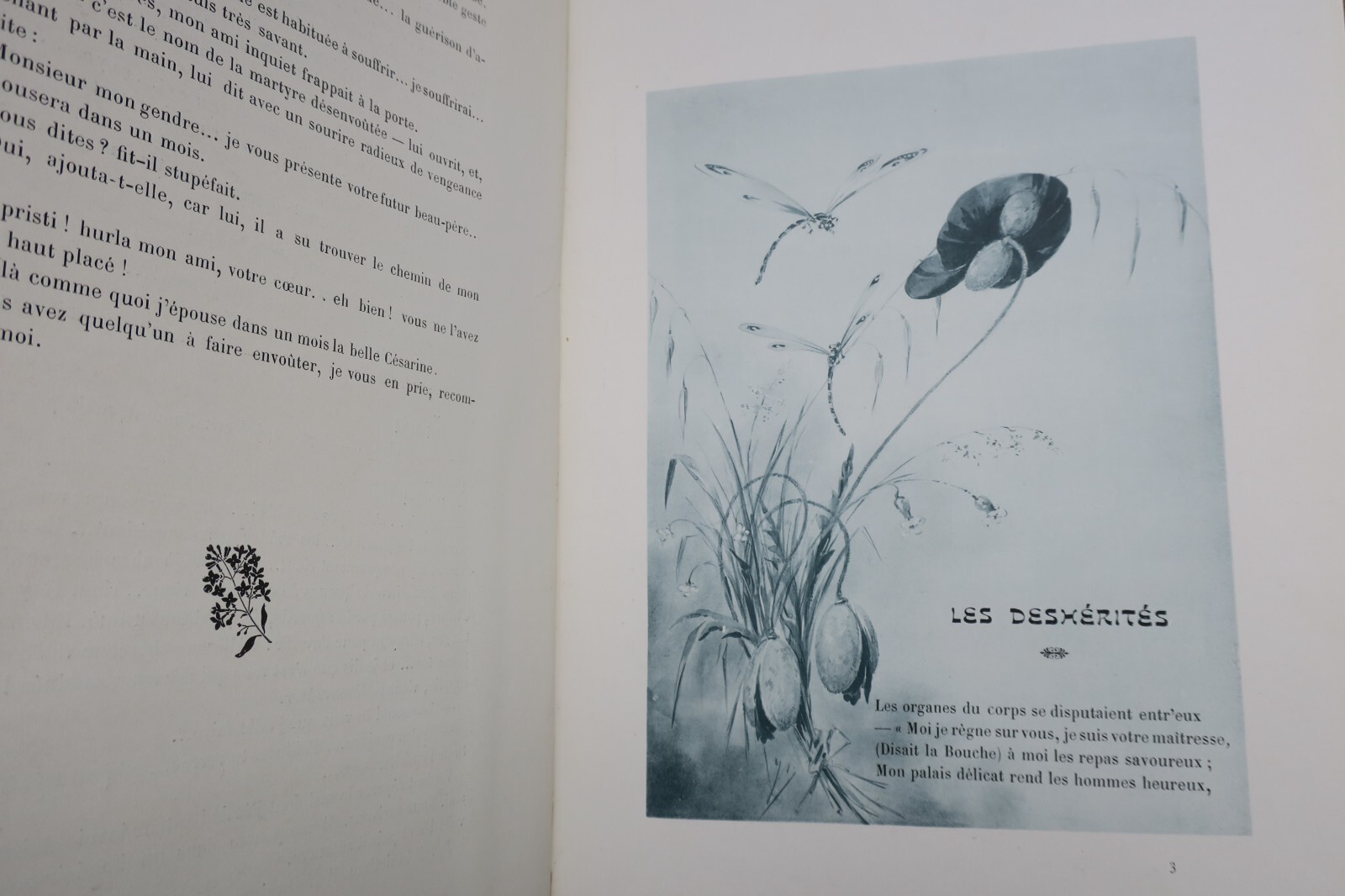 MUSE GAILLARDE. Illustrations de JAPHET 1905 – Image 5